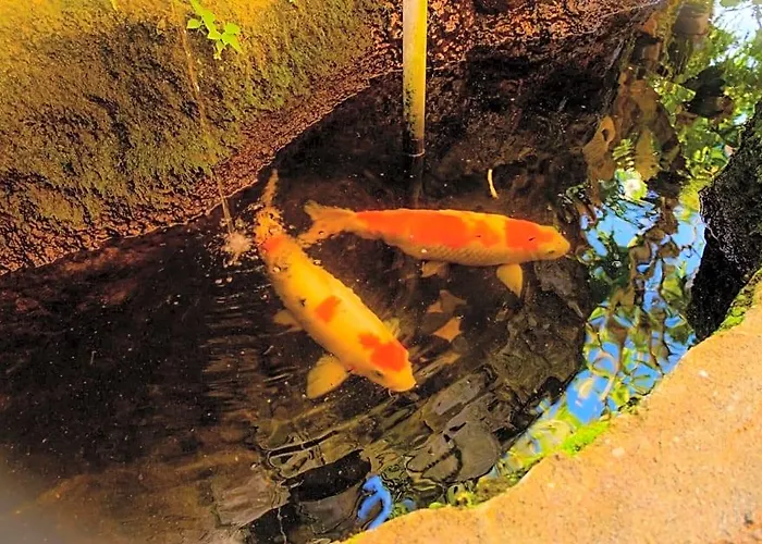 Bali Spring 2*